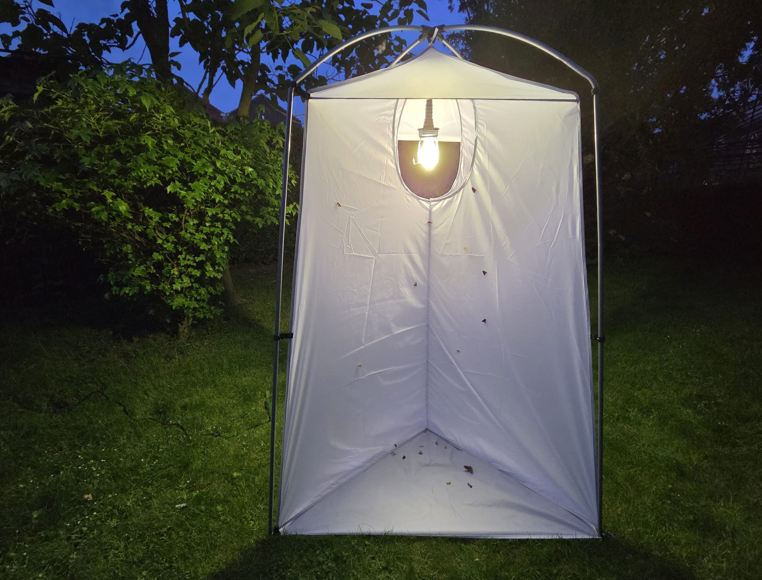 lichtgewicht vanglaken
